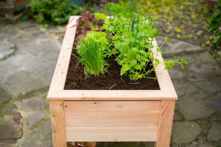 WESTMANN Hochbeet Emily